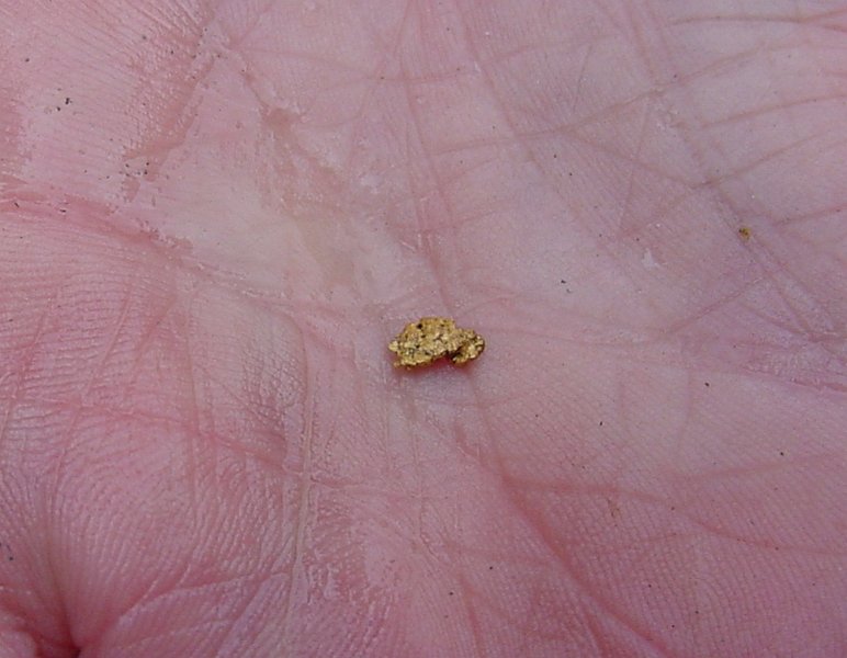 GoldPan-07_Larry-Find03.JPG